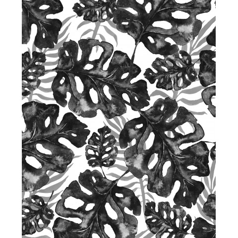156-B6